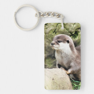 LLAVERO OTTERS