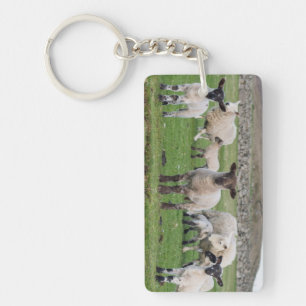 Llavero Oveja Shetland