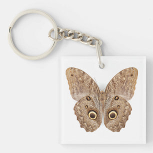 Llavero Owl Butterfly