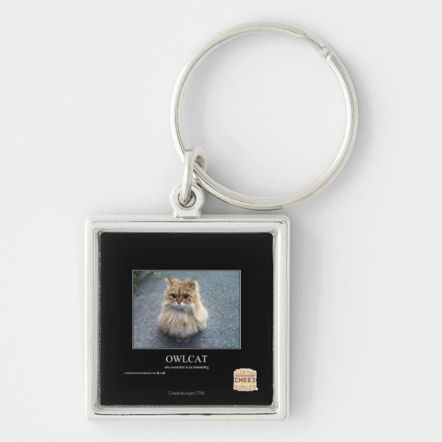 Llavero Owlcat (Frente)