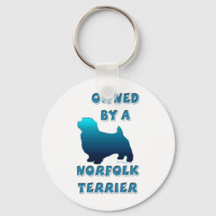 Llavero Owned by a Norfolk Terrier