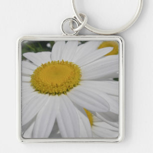 Llavero Oxeye Daisy Wildflower Floral Elementos Florales