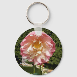 LLAVERO P7220107.JPG