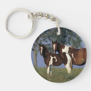Llavero Paint HMare & Foal