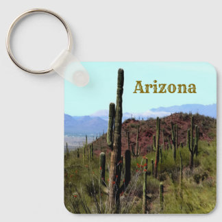 Llavero paisaje montañoso de saguaro de Arizona