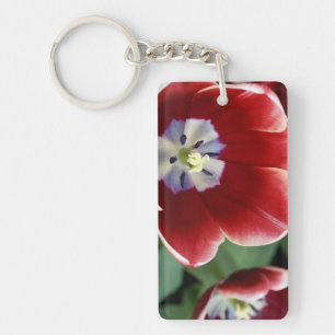 Llavero Países Bajos (alias Holanda), Lisse. Keukenhof 3