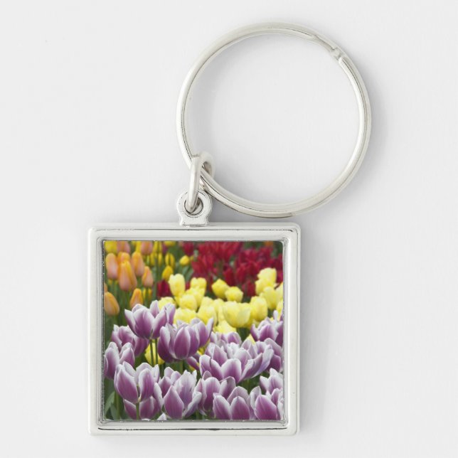 Llavero Países Bajos (Holanda), Lisse. Keukenhof 3 (Frente)