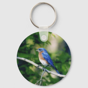 Llavero Pájaro azul