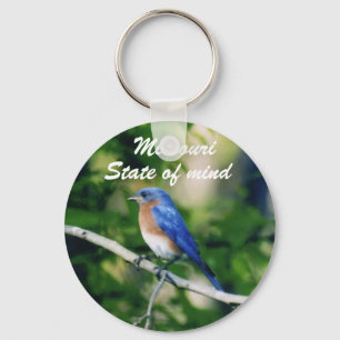 Llavero Pájaro azul solo, Missouri, estado de ánimo Chan
