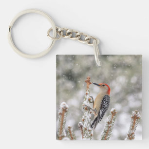 Llavero Pájaro carpintero de barriga roja en la nieve