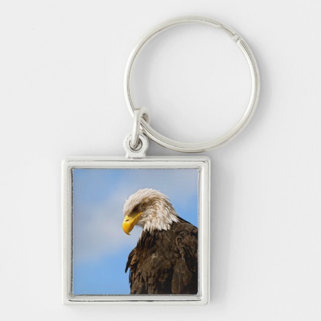 Llavero Pájaro de águila gris calva (Frente)