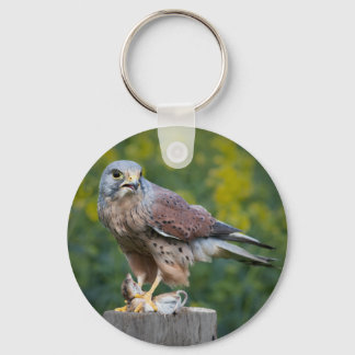 Llavero Pájaro de Prey Keychain/Keyring