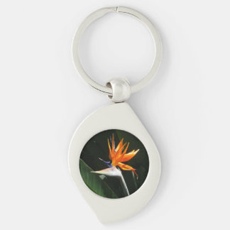 Llavero Pájaro del Naranja del paraíso Flor tropical