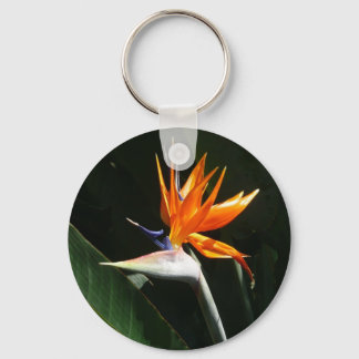 Llavero Pájaro del Naranja del paraíso Flor tropical