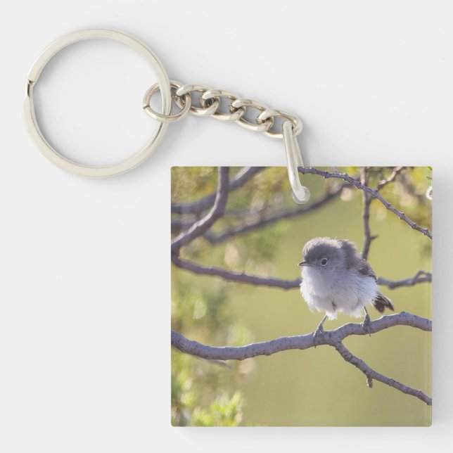 Llavero Pájaro en peluca (Bushtit) (Frente)