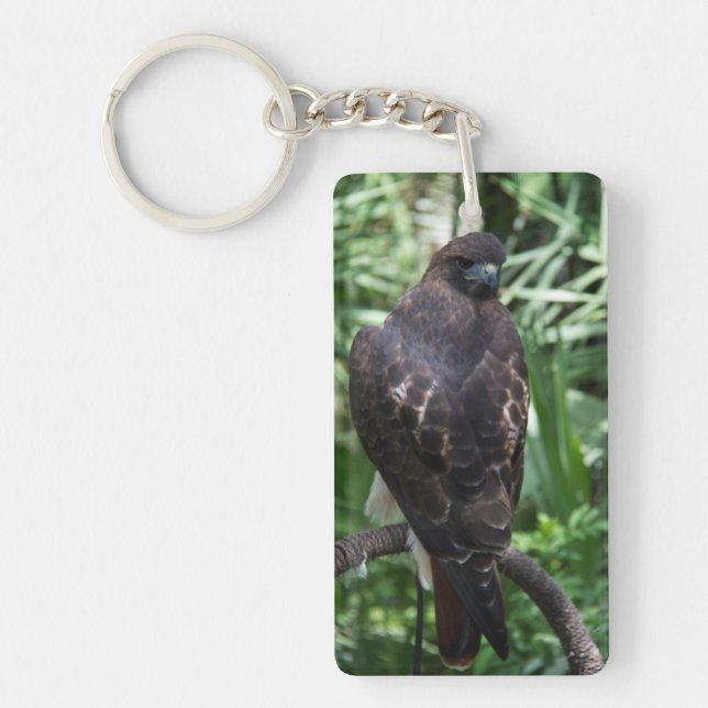 Llavero Pájaro Red Tail Hawk (Frente)