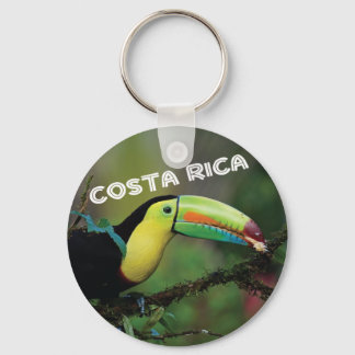 Llavero Pájaro Turco de Costa Rica