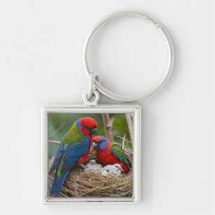 Llavero Pájaros Rosella