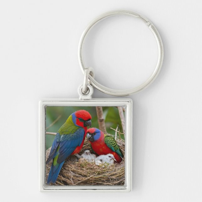 Llavero Pájaros Rosella (Frente)