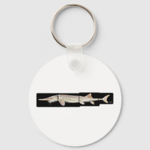 Llavero Pallid Sturgeon - Scaphirhynchus albus