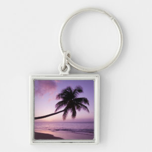 Llavero Palmera solitaria al atardecer, playa Coconut Grov