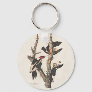 Llavero Panceta leonera audubon