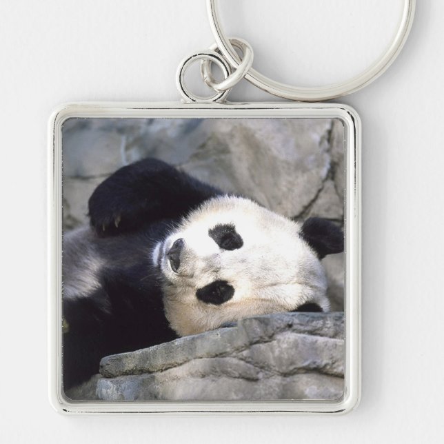 Llavero Panda Bear (Frente)