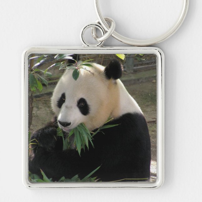 Llavero Panda Bear Hugs (Frente)