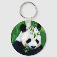Panda Eating Leaves Grilleras