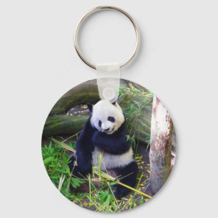 Llavero Panda en el Zoológico de San Diego