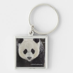 Llavero Panda gigante en nieve