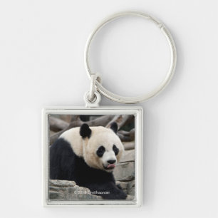 Llavero Panda gigante en rocas
