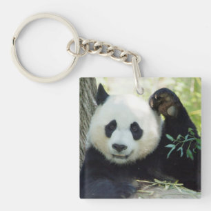 Llavero Panda gigante que descansa contra árbol