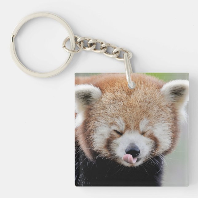 Llavero panda roja fotográfica de keychain. (Frente)