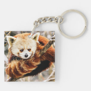 Llavero Panda rojo en una extremidad de árbol