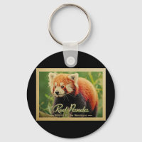 Panda Rojo - Vida Silvestre De Los Himalayas