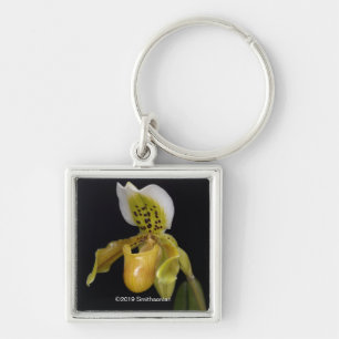Llavero Paphiopedilum Exul