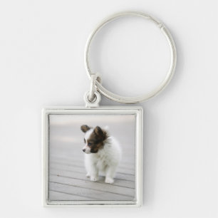 Llavero Papillon