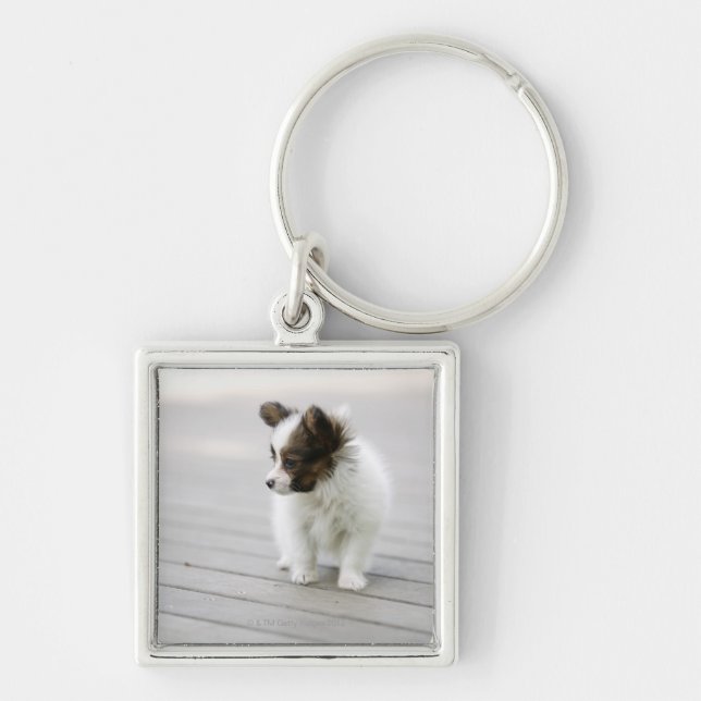 Llavero Papillon (Frente)