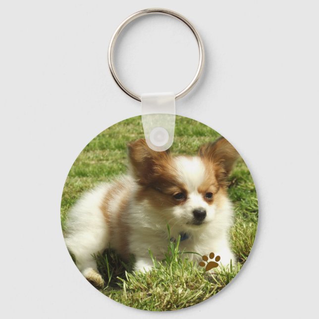 Llavero Papillon Puppy (Anverso)