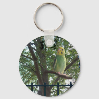 Llavero Parakeet