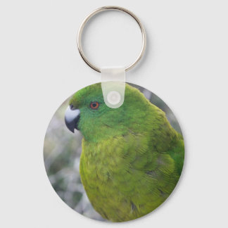Llavero Parakeet Isla Antipodes