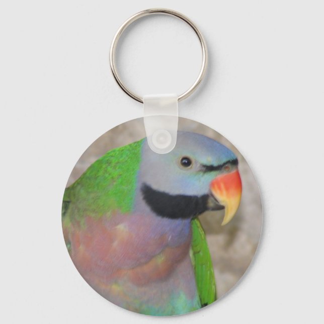 Llavero Parakeet Mustached (Anverso)