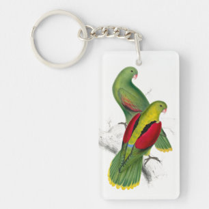 Llavero Parakeet Winged Crimson