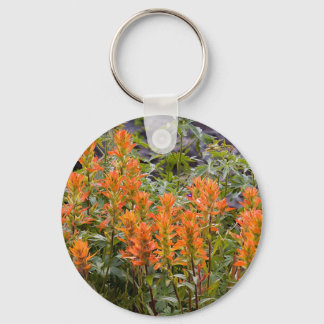 Llavero Parche de pincel indio