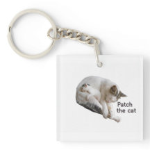 PARCHE EL GATO Y SU KITTEN