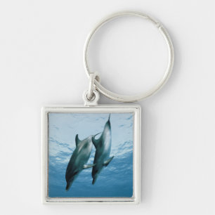 Llavero Pareja de delfines