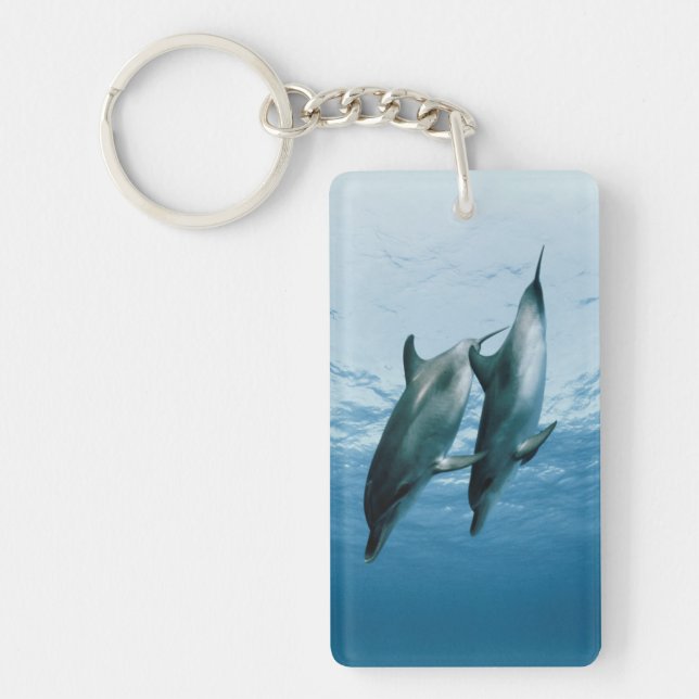 Llavero Pareja de delfines (Frente)
