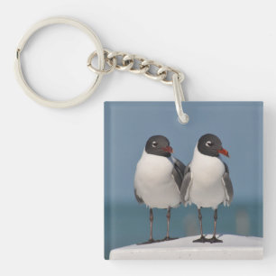 Llavero Pareja de gaviotas de cabeza negra