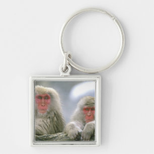 Llavero Pareja de monos de nieve, macaco japonés,